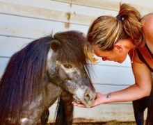Sweet Pea – Sponsored by Stacy Thorndyke!