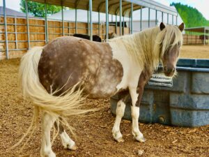 Chuck – Please Sponsor Me!