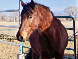 Cinderfella – Sponsored by Leora Frankel!