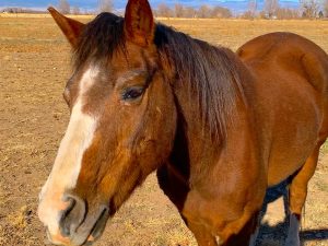 Bean – Sponsored By Cynthia Wooten!