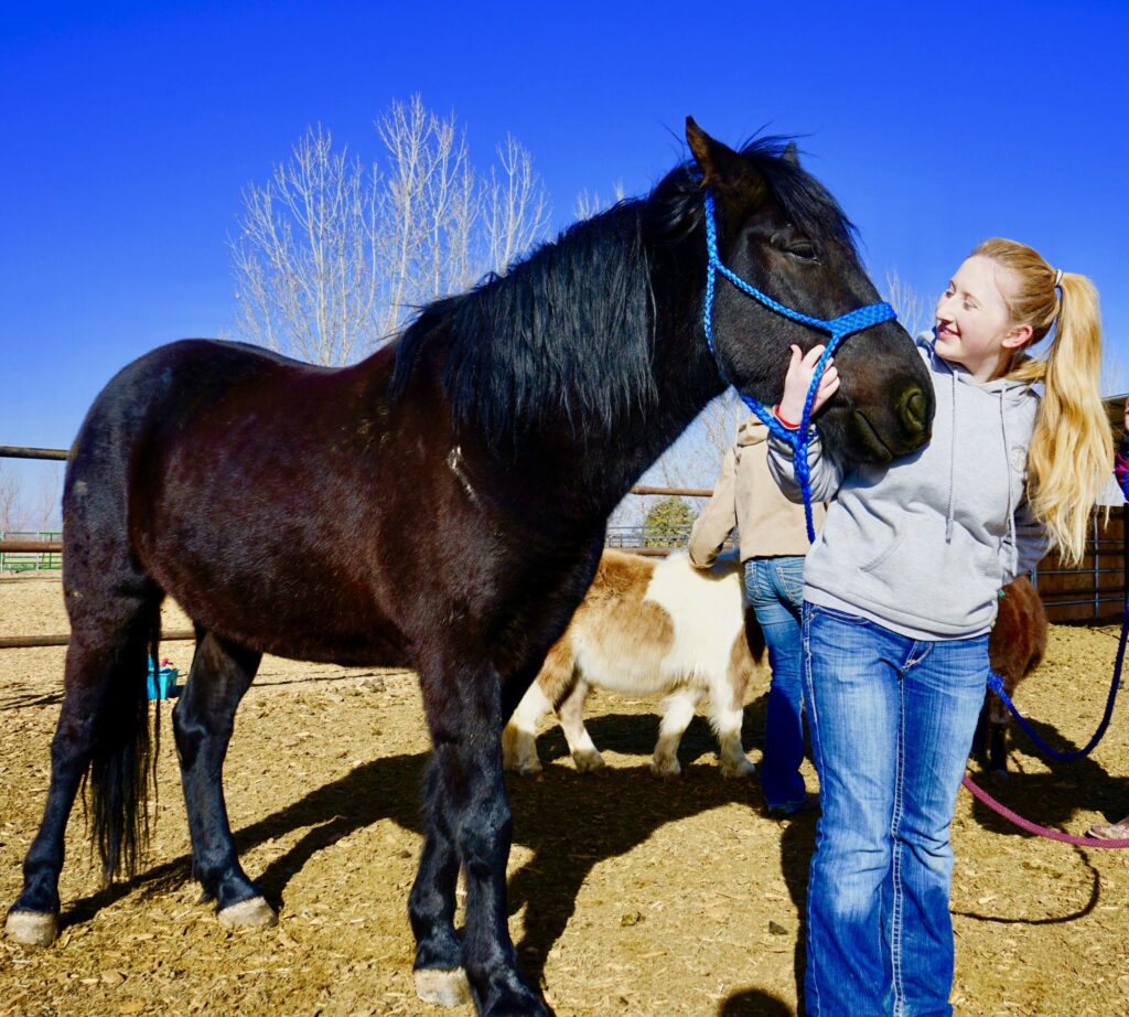 end of the trail horse rescue - Cash