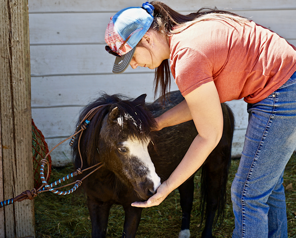 Rescue Horse Mama getting massage