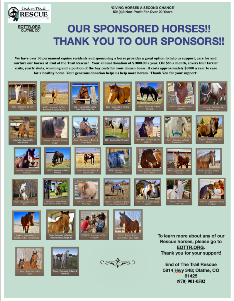 End of the Trail Rescue Sponsored Horses
